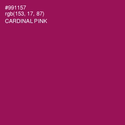 #991157 - Cardinal Pink Color Image