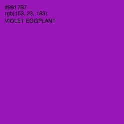 #9917B7 - Violet Eggplant Color Image