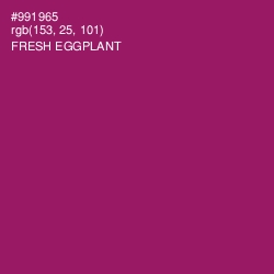 #991965 - Fresh Eggplant Color Image