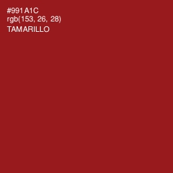 #991A1C - Tamarillo Color Image