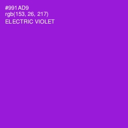 #991AD9 - Electric Violet Color Image
