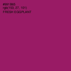 #991B65 - Fresh Eggplant Color Image