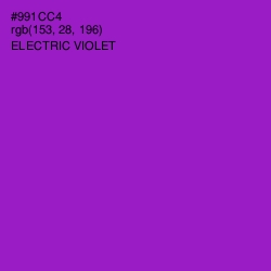 #991CC4 - Electric Violet Color Image