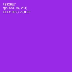 #9928E7 - Electric Violet Color Image