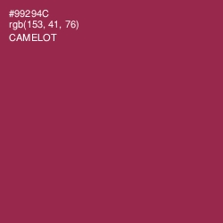 #99294C - Camelot Color Image