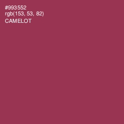 #993552 - Camelot Color Image