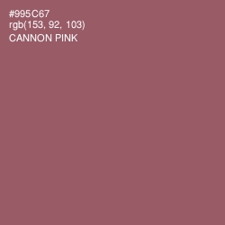 #995C67 - Cannon Pink Color Image