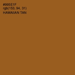 #995E1F - Hawaiian Tan Color Image