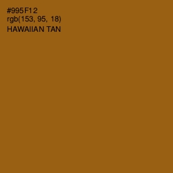 #995F12 - Hawaiian Tan Color Image