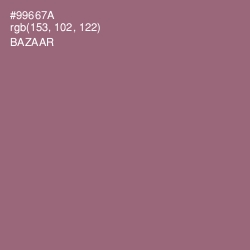 #99667A - Bazaar Color Image