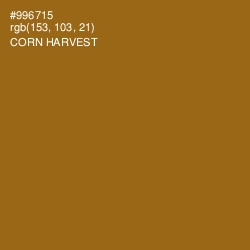 #996715 - Corn Harvest Color Image