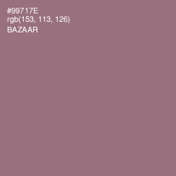 #99717E - Bazaar Color Image