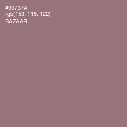 #99737A - Bazaar Color Image