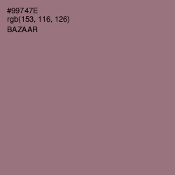 #99747E - Bazaar Color Image