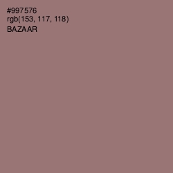 #997576 - Bazaar Color Image