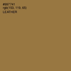 #997741 - Leather Color Image