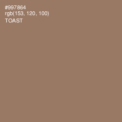 #997864 - Toast Color Image