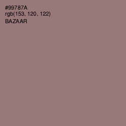 #99787A - Bazaar Color Image