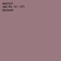 #99797F - Bazaar Color Image