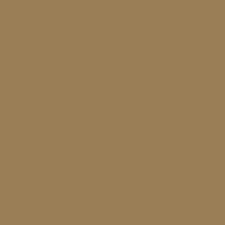 #997E56 - Leather Color Image