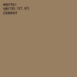 #997F61 - Cement Color Image