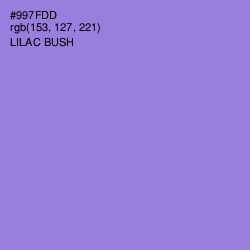 #997FDD - Lilac Bush Color Image