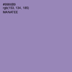 #9986B9 - Manatee Color Image