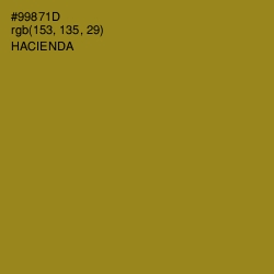 #99871D - Hacienda Color Image
