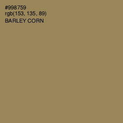 #998759 - Barley Corn Color Image