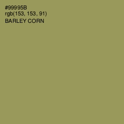 #99995B - Barley Corn Color Image