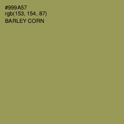 #999A57 - Barley Corn Color Image