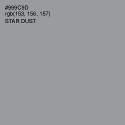 #999C9D - Star Dust Color Image