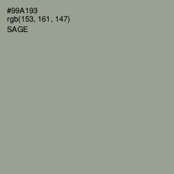 #99A193 - Sage Color Image