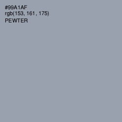 #99A1AF - Pewter Color Image