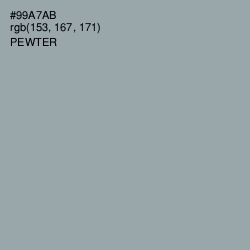 #99A7AB - Pewter Color Image
