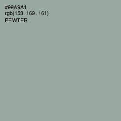 #99A9A1 - Pewter Color Image