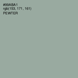 #99ABA1 - Pewter Color Image