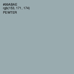 #99ABAE - Pewter Color Image