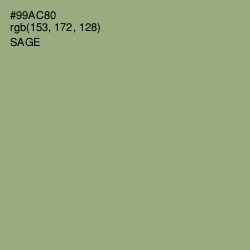 #99AC80 - Sage Color Image