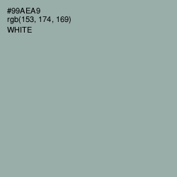 #99AEA9 - Pewter Color Image