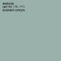 #99B0AB - Summer Green Color Image