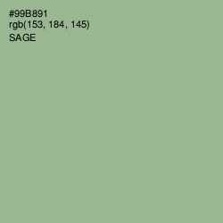 #99B891 - Sage Color Image