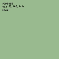#99B98E - Sage Color Image