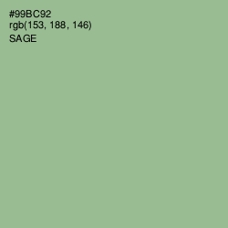 #99BC92 - Sage Color Image