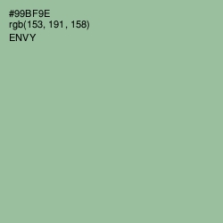 #99BF9E - Envy Color Image