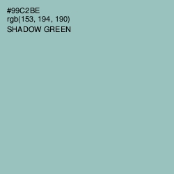 #99C2BE - Shadow Green Color Image
