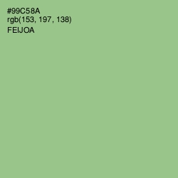 #99C58A - Feijoa Color Image