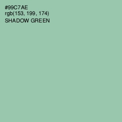 #99C7AE - Shadow Green Color Image