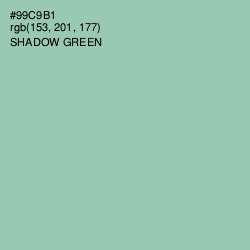 #99C9B1 - Shadow Green Color Image