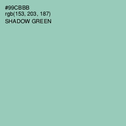 #99CBBB - Shadow Green Color Image